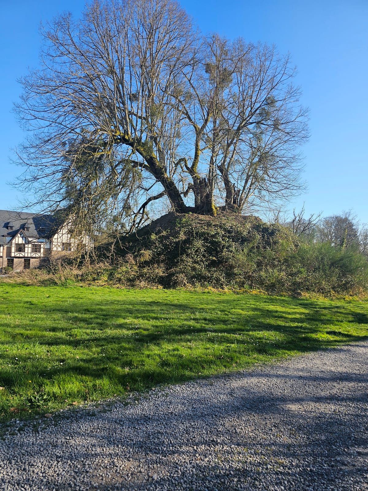 Only The Brave Find Hope..